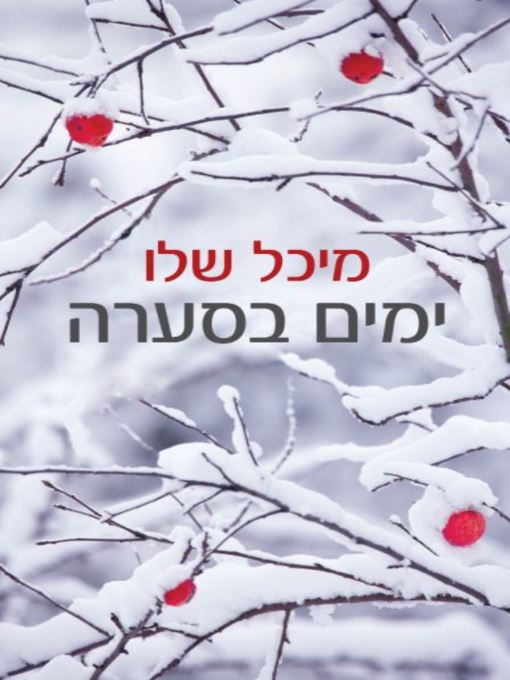Cover of ימים בסערה (Snowstorm)